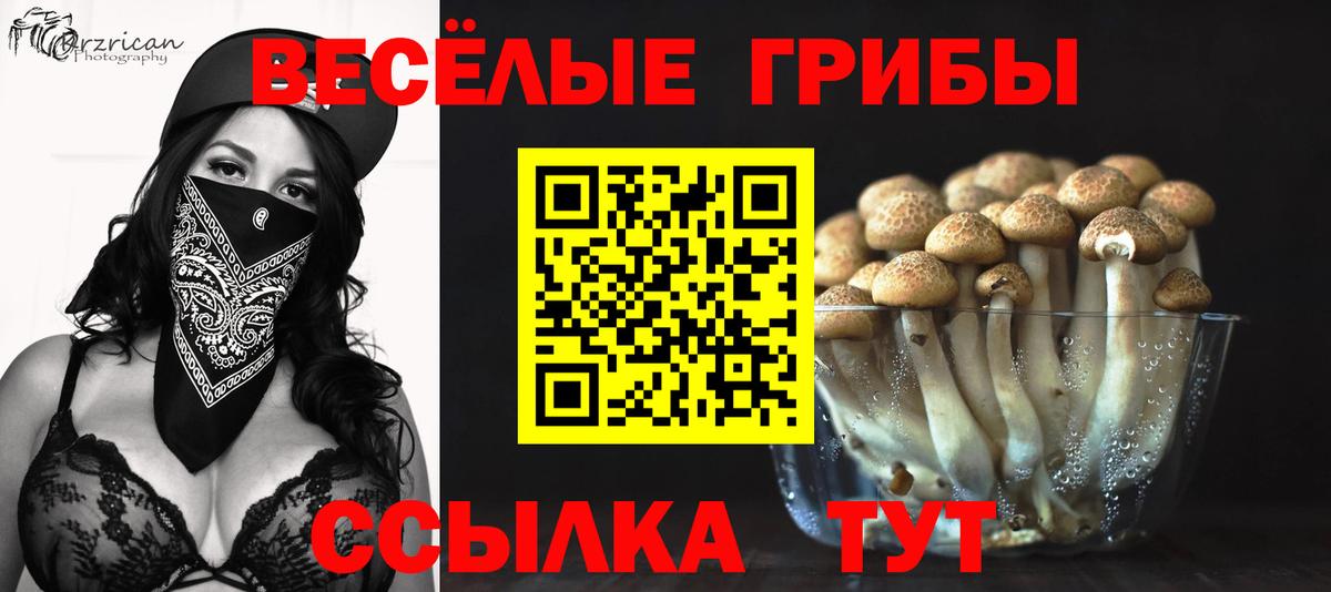 Галлюциногенные грибы GOLDEN TEACHER Кимры
